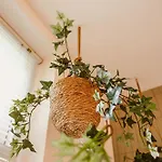 Couette-café Boutiquehotel&tiny Plek17 Milsbeek