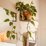 Boutiquehotel & Tiny Plek17