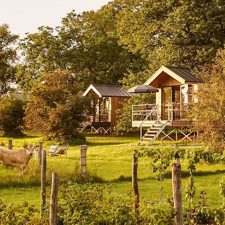 Boutiquehotel & Tiny Plek17 Bed & Breakfast Milsbeek