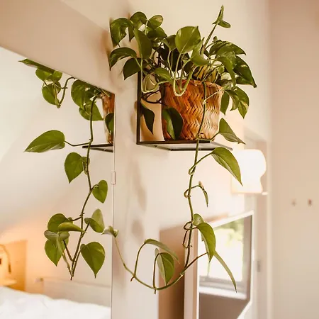 Boutiquehotel & Tiny Plek17