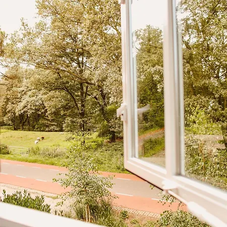 Boutiquehotel & Tiny Plek17 Nocleg ze śniadaniem