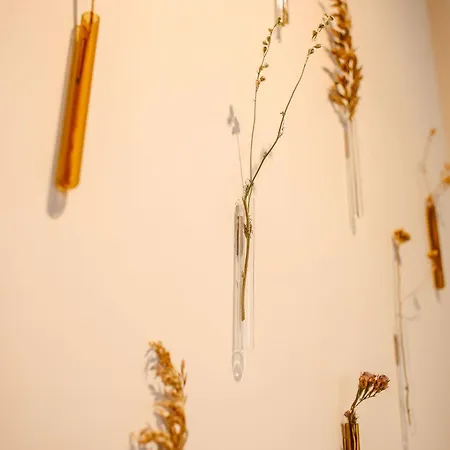 Bed & Breakfast Boutiquehotel & Tiny Plek17 *