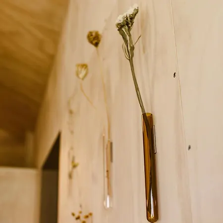 Bed & Breakfast Boutiquehotel & Tiny Plek17
