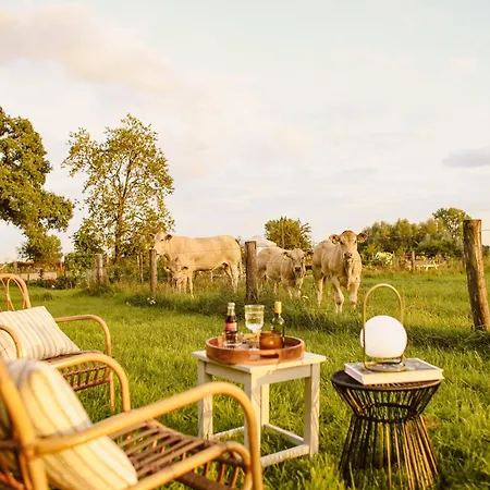 Bed & Breakfast Boutiquehotel & Tiny Plek17