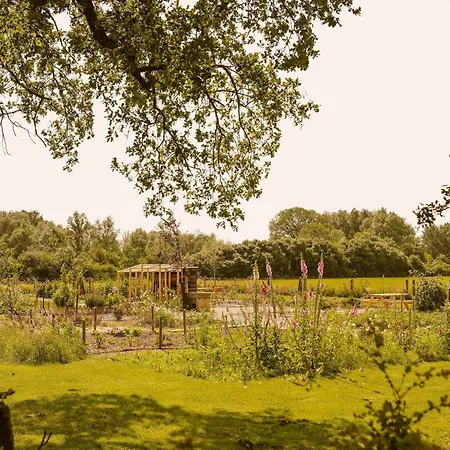 Bed & Breakfast Boutiquehotel & Tiny Plek17 Milsbeek