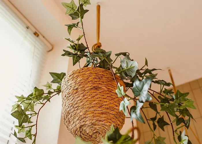 Bed and breakfast Boutiquehotel & Tiny Plek17 Milsbeek