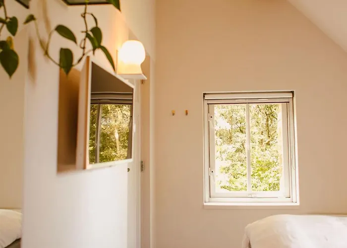 Bed and breakfast Boutiquehotel & Tiny Plek17