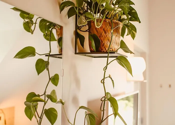 Boutiquehotel & Tiny Plek17