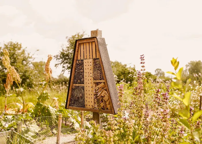 Boutiquehotel & Tiny Plek17 Milsbeek