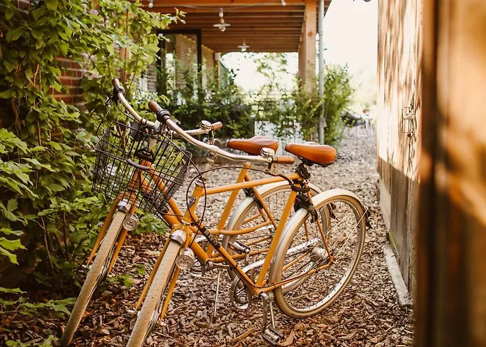 Boutiquehotel & Tiny Plek17 Milsbeek