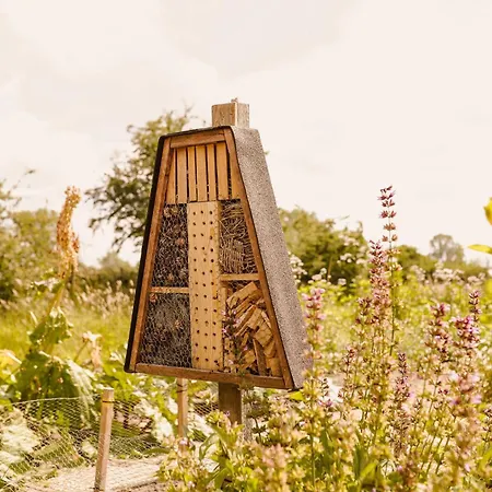 Boutiquehotel & Tiny Plek17 Milsbeek