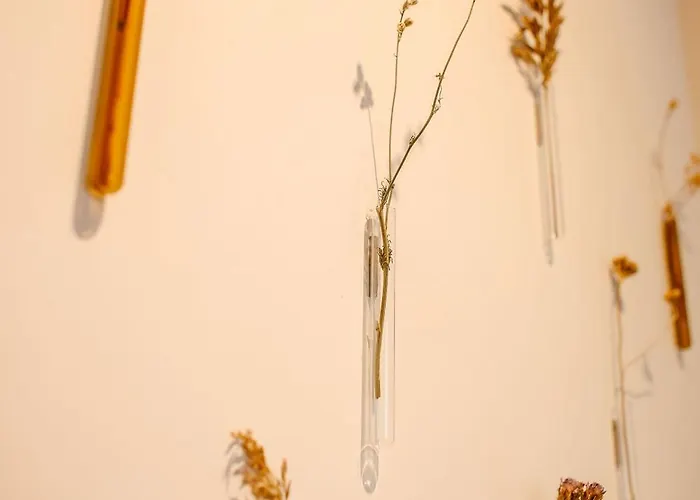 فندق مبيت وإفطار Boutiquehotel & Tiny Plek17 3*